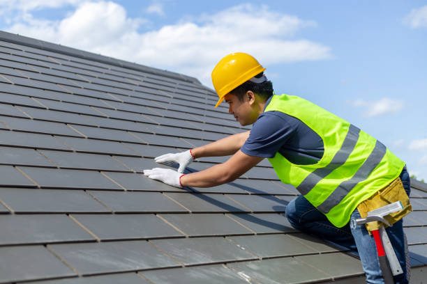Best Roof Gutter Cleaning  in Port Vue, PA