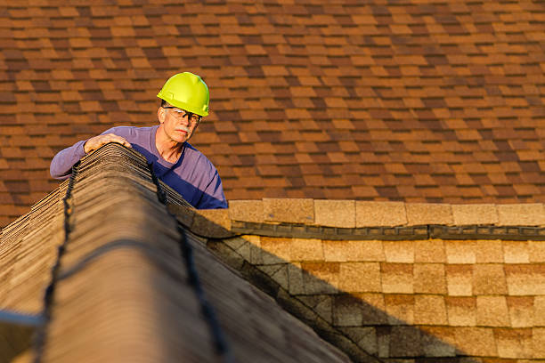 Best Storm Damage Roof Repair  in Port Vue, PA